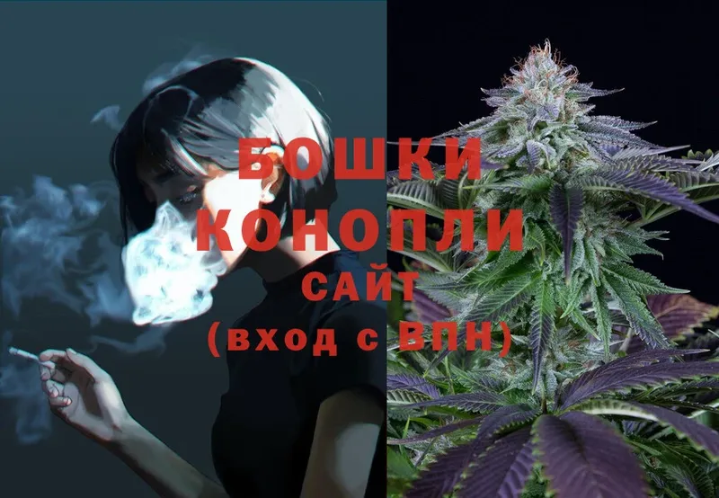 Конопля OG Kush  Новокузнецк 